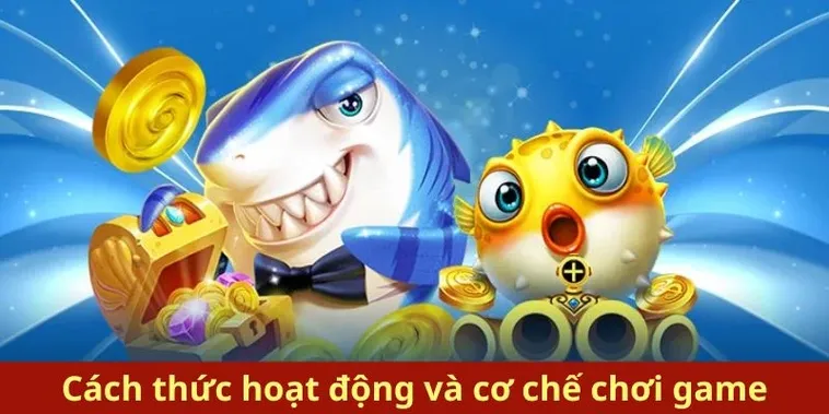 Bí Kíp Chinh Phục Bắn Cá Royal Fishing 88CLB Từ A Đến Z
