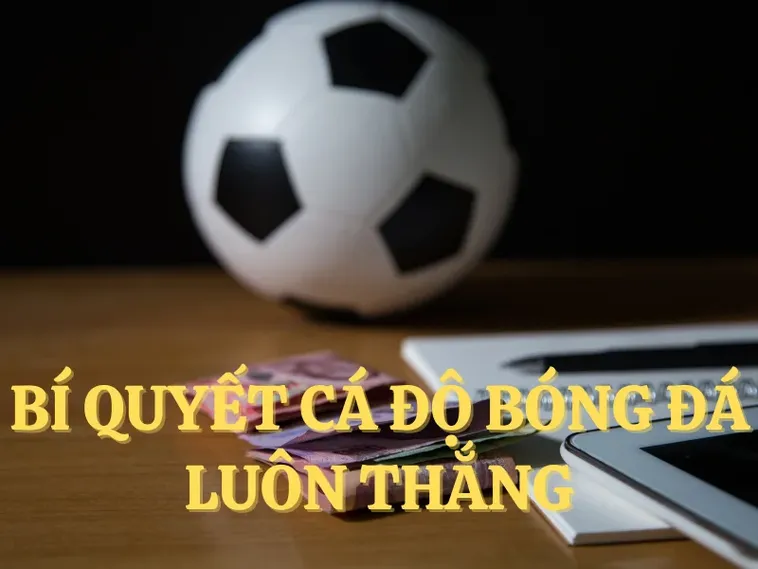 Bật Mí Chiến Lược Cá Cược Bóng Đá 88CLB Luôn Thắng