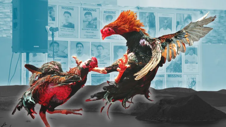 Chinh Phục Đấu Trường Đá Gà Sabong Tại 88CLB Dễ Dàng