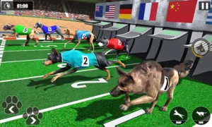 Kinh Nghiệm Chơi Game Nhanh Đua Chó Tại 88CLB Chắc Thắng