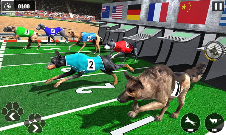Kinh Nghiệm Chơi Game Nhanh Đua Chó Tại 88CLB Chắc Thắng