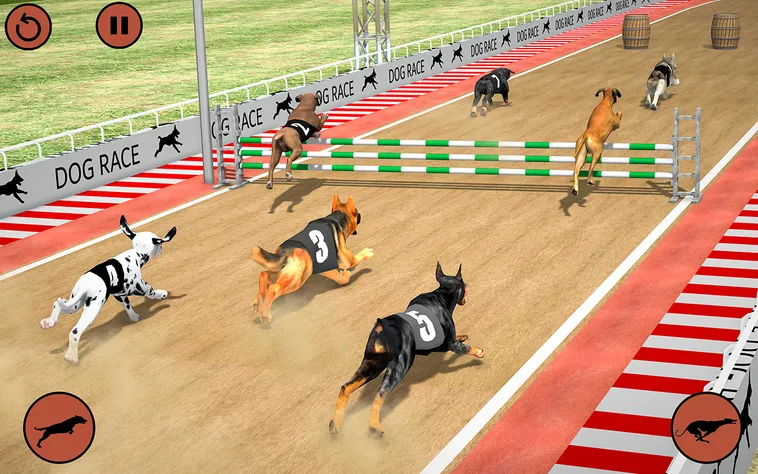 Kinh Nghiệm Chơi Game Nhanh Đua Chó Tại 88CLB Chắc Thắng